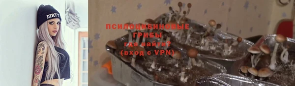 ALPHA-PVP Чегем