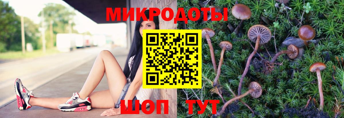 Псилоцибиновые грибы Cubensis Великие Луки