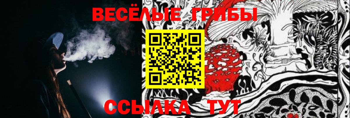где продают   Великие Луки  Галлюциногенные грибы прущие грибы  Галлюциногенные грибы Psilocybine cubensis 