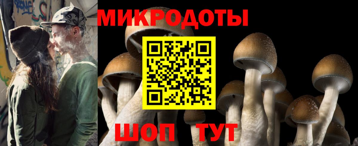 Галлюциногенные грибы прущие грибы  Вход с VPN  Великие Луки 