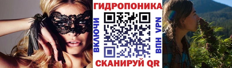 Марихуана ГИДРОПОН  даркнет сайт  Великие Луки 